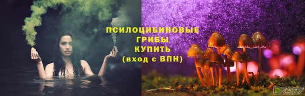 дурь Зеленокумск