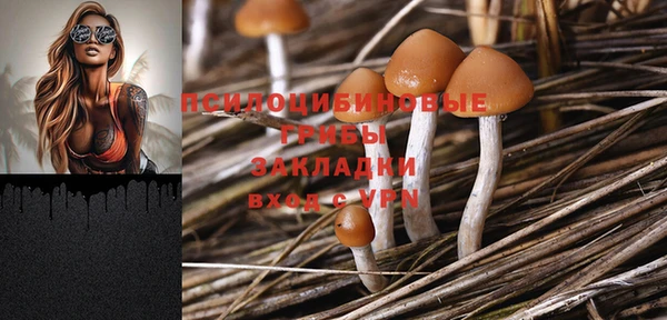 дурь Зеленокумск
